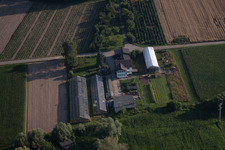 Photographie aérienne de Jardiner à Erlenbach à Erlenbach bei Kandel dans le département Rhénanie-Palatinat, Allemagne