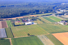 Image drone de Parc de football et de golf du Palatinat du Sud à Adamshof Kandel à Kandel dans le département Rhénanie-Palatinat, Allemagne