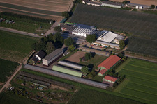 Vue aérienne de Obsthof Zapf et Hofcafé à Kandel dans le département Rhénanie-Palatinat, Allemagne