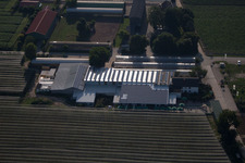 Vue oblique de Obsthof Zapf et Hofcafé à Kandel dans le département Rhénanie-Palatinat, Allemagne