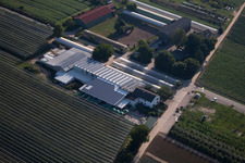 Ferme fruitière et café de ferme Zapf à Kandel dans le département Rhénanie-Palatinat, Allemagne vue d'en haut