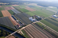 Ferme fruitière et café de ferme Zapf à Kandel dans le département Rhénanie-Palatinat, Allemagne depuis l'avion