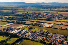 Vue aérienne de Quartier Niederlustadt in Lustadt dans le département Rhénanie-Palatinat, Allemagne