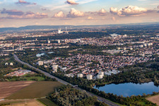 Vue aérienne de Derrière l'étang Holschen à le quartier Gartenstadt in Ludwigshafen am Rhein dans le département Rhénanie-Palatinat, Allemagne