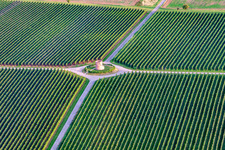Vue aérienne de Tour vigneronne de Houschder à le quartier Niederhochstadt in Hochstadt dans le département Rhénanie-Palatinat, Allemagne