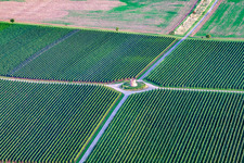 Photographie aérienne de Tour vigneronne de Houschder à le quartier Niederhochstadt in Hochstadt dans le département Rhénanie-Palatinat, Allemagne