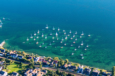 Vue aérienne de Quai pour voiliers à Allensbach dans le département Bade-Wurtemberg, Allemagne
