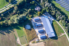 Vue aérienne de Centre équestre - Marstall des Trab eV à le quartier Wollmatingen in Konstanz dans le département Bade-Wurtemberg, Allemagne