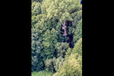 Vue oblique de Tyrolienne géante, camp Fun-Forest à Kandel dans le département Rhénanie-Palatinat, Allemagne