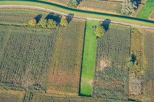 Vue oblique de Aérodrome modèle à Hagenbach dans le département Rhénanie-Palatinat, Allemagne