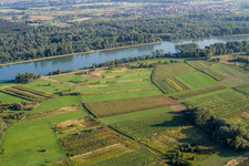Vue aérienne de Aérodrome modèle à le quartier Neuburg in Neuburg am Rhein dans le département Rhénanie-Palatinat, Allemagne