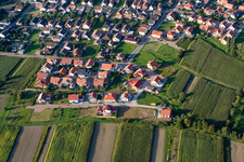 Vue aérienne de Kantstr à le quartier Neuburg in Neuburg am Rhein dans le département Rhénanie-Palatinat, Allemagne