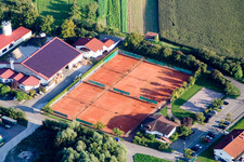 Photographie aérienne de Club de tennis à le quartier Neuburg in Neuburg am Rhein dans le département Rhénanie-Palatinat, Allemagne