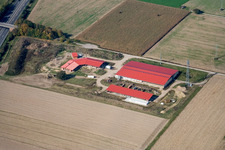 Vue d'oiseau de Ferme d'œufs de ferme de poulets à Erlenbach bei Kandel dans le département Rhénanie-Palatinat, Allemagne