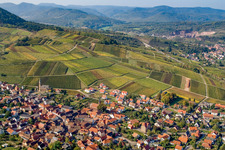 Vue d'oiseau de Châtaignier à Birkweiler dans le département Rhénanie-Palatinat, Allemagne