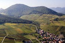 Vue aérienne de Vue des rues et des maisons des quartiers résidentiels à Birkweiler dans le département Rhénanie-Palatinat, Allemagne