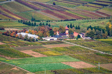 BFA-Geilweilerhof (Institut de recherche sur la vigne) à Siebeldingen dans le département Rhénanie-Palatinat, Allemagne d'en haut
