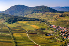 Vignoble de Kastanienbusch « Keschdebusch » à Birkweiler dans le département Rhénanie-Palatinat, Allemagne vue d'en haut