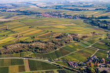 Petit kalmit à Ilbesheim bei Landau in der Pfalz dans le département Rhénanie-Palatinat, Allemagne hors des airs