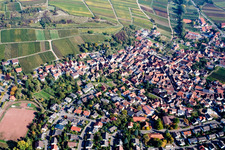 Vue aérienne de Vignobles et chapelle de la réserve naturelle de Kleine Kalmit à le quartier Ilbesheim in Ilbesheim bei Landau in der Pfalz dans le département Rhénanie-Palatinat, Allemagne