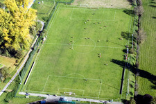 Vue aérienne de FC Viktoria Berghausen à le quartier Berghausen in Pfinztal dans le département Bade-Wurtemberg, Allemagne