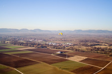 Billigheim-Ingenheim dans le département Rhénanie-Palatinat, Allemagne vu d'un drone