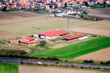 Ferme d'œufs de ferme de poulets à Erlenbach bei Kandel dans le département Rhénanie-Palatinat, Allemagne vue du ciel
