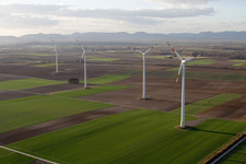 Vue aérienne de Éoliennes (WEA) - éoliennes - dans un champ à Minfeld dans le département Rhénanie-Palatinat, Allemagne