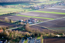 Welschhof à Minfeld dans le département Rhénanie-Palatinat, Allemagne hors des airs