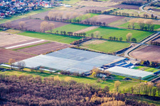 Vue aérienne de Lustadt dans le département Rhénanie-Palatinat, Allemagne