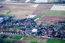 Vue aérienne de Niederlustadt à Lustadt dans le département Rhénanie-Palatinat, Allemagne