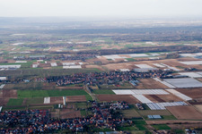 (Palatinat) à Weingarten dans le département Rhénanie-Palatinat, Allemagne d'en haut