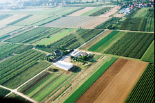 Le jardin du fermier à Winden dans le département Rhénanie-Palatinat, Allemagne du point de vue du drone