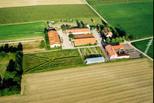 Vue aérienne de Schlossberghof à Minfeld dans le département Rhénanie-Palatinat, Allemagne