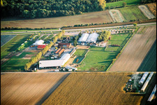Vue aérienne de Adamshof du nord à Kandel dans le département Rhénanie-Palatinat, Allemagne
