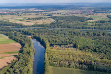 Vue aérienne de Vieux Rhin / Michelsbach à le quartier Sondernheim in Germersheim dans le département Rhénanie-Palatinat, Allemagne