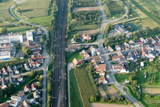 Image drone de Quartier Urloffen in Appenweier dans le département Bade-Wurtemberg, Allemagne