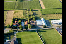 Enregistrement par drone de Quartier Billigheim in Billigheim-Ingenheim dans le département Rhénanie-Palatinat, Allemagne