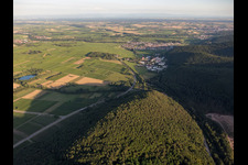 Vue aérienne de Pfalzklinik Landeck de Norden à Klingenmünster dans le département Rhénanie-Palatinat, Allemagne