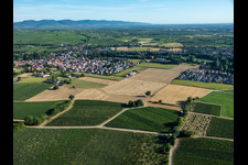 Vue aérienne de Du sud à le quartier Ingenheim in Billigheim-Ingenheim dans le département Rhénanie-Palatinat, Allemagne