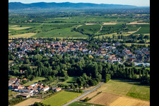Quartier Billigheim in Billigheim-Ingenheim dans le département Rhénanie-Palatinat, Allemagne depuis l'avion