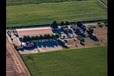 Photographie aérienne de Centre équestre du Fohlenhof à Steinweiler dans le département Rhénanie-Palatinat, Allemagne